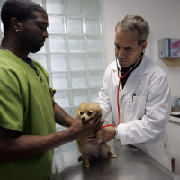 Everything’s more expensive!! Pet care!! Concert tickets!! (Two Indicators)