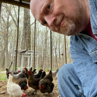 How much for that egg