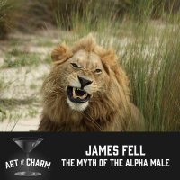312: James Fell | The Myth of the Alpha Male
