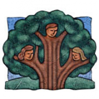 SFOs in Action: How the Richest Families Manage Their Wealth