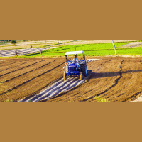 Can India Solve Its Food Paradox?