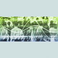 Effective Teams and Managers: What Google Has Learned