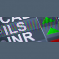 Is There a Link Between Ethnicity and Economics?