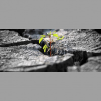 Kiva’s Jessica Jackley: How Entrepreneurs Can Do a Lot with a Little