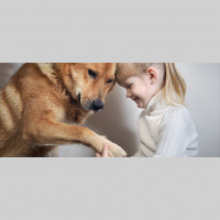 Why Empathy Is More Than Standing in Another’s Shoes