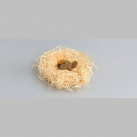 Lump-sum Pension Payments: Who Are the Winners and Losers?