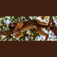 Pushing Past Procrastination: How to Get Stuff Done