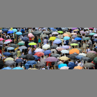 What’s at Stake in Hong Kong’s ‘Umbrella Revolution’