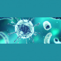 Coronavirus Disaster: Why Firms Should Lead the Recovery