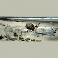 Finding New Solutions for Managing Global Garbage