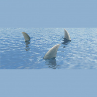 Finding the Virtue in Private Equity Firms