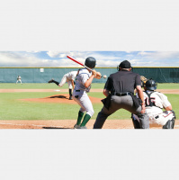 Baseball Bias and Decision-making