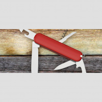 Don’t Underestimate Generalists: They Bring Value to Your Team