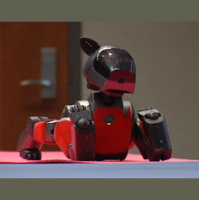 Making Robots More Like Us