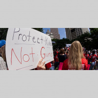 Gun Control After Parkland: What Can Firms Really Do?