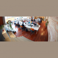 ‘The Founder’s Mentality’: Leveraging Startup Thinking for Long-term Growth