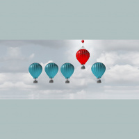 Myth vs. Reality: Four Behaviors That Define Successful Leaders