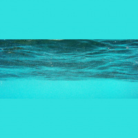 Trouble on the High Seas: Ian Urbina’s ”The Outlaw Ocean”