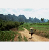 Doha Debacle: What’s Next for Global Commerce