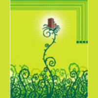 Clearing the Air: How Companies Operate in a Climate-conscious Era