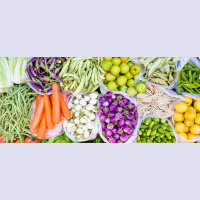 Food for Thought: Can Changing Our Diets Save the Planet?