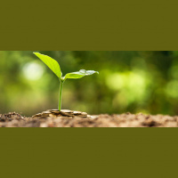 How Uncertainty Impacts Funding for Microfinance Organizations