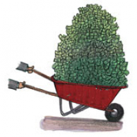 A Closer Look at Sovereign Wealth Funds: Secretive Powerful Unregulated and Huge