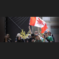 Will Legalizing Marijuana Light Up Canada’s Economy?