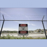 On the Fence: Are Illegal Immigrants Good or Bad for the U.S. Economy?