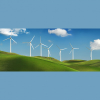 Why Carbon Taxes May Not Be the Best Solution for a Greener Planet