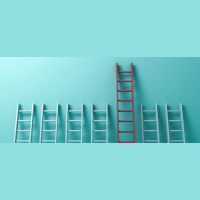 Learning from CEOs: What It Takes to Get to the Top and Succeed