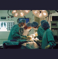 How to Encourage People to Become Organ Donors: An Incentive System with Heart