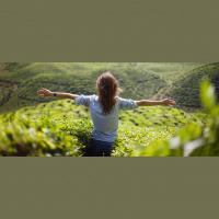 Mindfulness: Why Being Present Can Make You a Better Manager