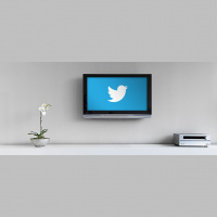 The Value of Social TV: Reaching the Niche