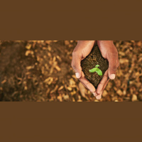 Balancing Act: One Entrepreneur’s Journey with Social Enterprise