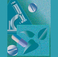 In the Health Care Sector Who Should Choose Which Treatment Is Best?