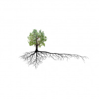 Cracking the Code on Brand Growth