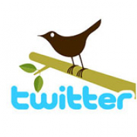 All That Twitters Isn’t Gold: A Popular Web Application in Search of a Business Plan