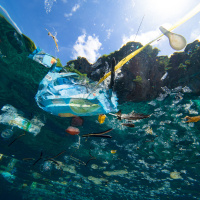 Where does all our plastic waste go?