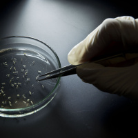  Why are people so worried about the Zika virus?