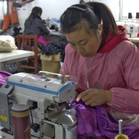 China feature towns aim to revive rural backwaters