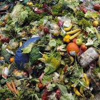 The future of food: What will the world eat in 3016?