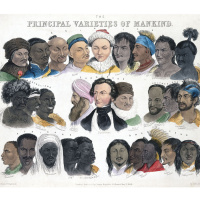 The return of race science