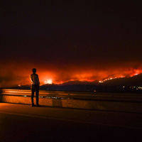 Catastrophic forest fires in Portugal raise wider concerns