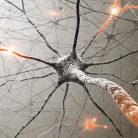 Flashing lights offer hope for Alzheimers cure