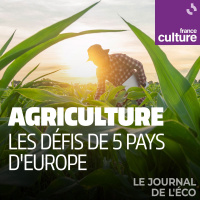 Agriculture : les défis de 5 pays dEurope 4/5 : En Pologne, une agriculture performante mais à deux vitesses