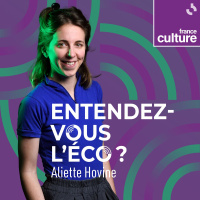 Le pouvoir économique des mots 2/4 : Performativité : quand la théorie économique façonne le monde à son image 