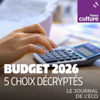 Budget 2026 : 5 choix décryptés 2/5 : Budget de la recherche publique : la grande illusion