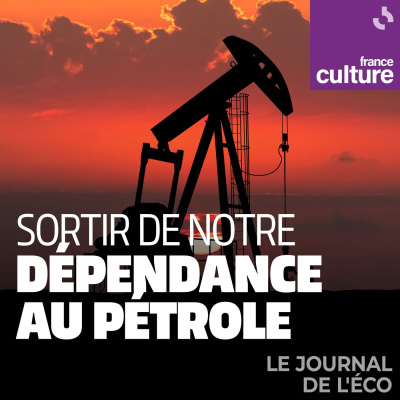 LECONOMIE EN QUESTION