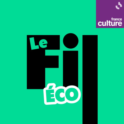 LECONOMIE EN QUESTION